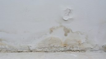 Glasversicherung Jetzt Kostenlos Anbieter Vergleichen