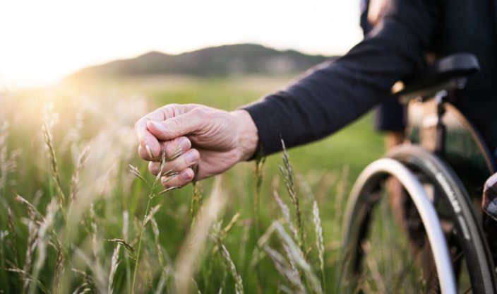 Hand greift ins Feld vom Rollstuhl aus