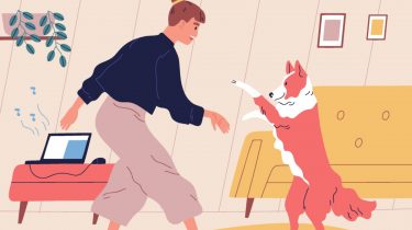 Diese Kosten entstehen beim Einschläfern, wenn der Hund ...