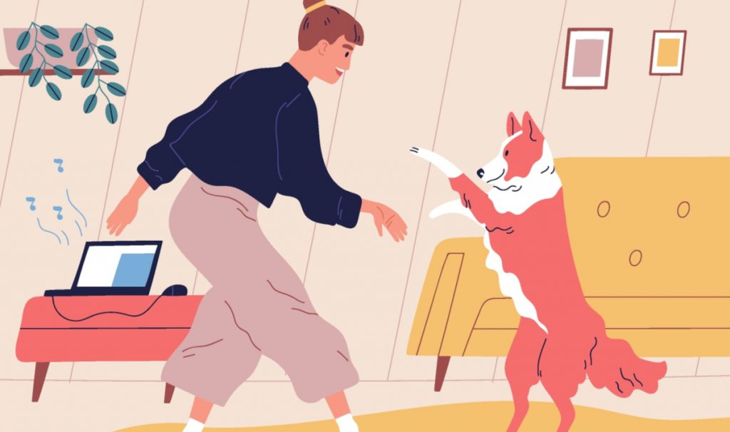 Diese Kosten entstehen beim Einschläfern, wenn der Hund gehen muss
