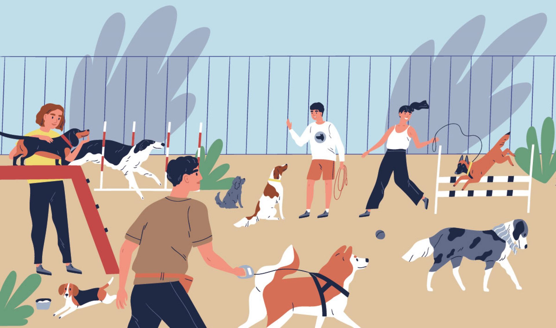 Kreuzbandriss beim Hund Diese Kosten kommen auf Hundehalter zu