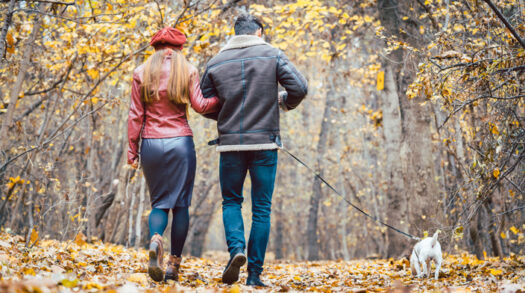 Paar geht durch Herbstlandschaft mit Hund spazieren