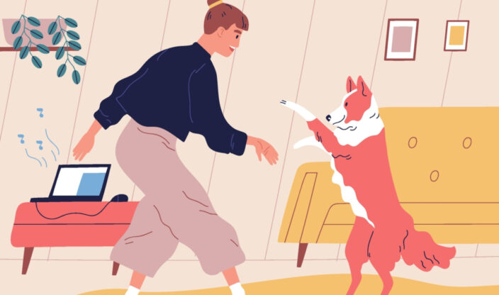 Hund Einschläfern kosten